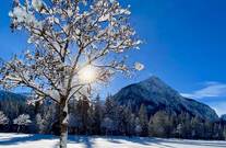 1920-winterlandschaft.jpg