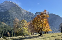 Der Goldene Herbst