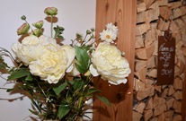 dsc-0329.jpg