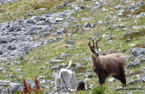 dscn1472.jpg