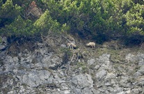 dscn1515.jpg