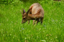 dscn1745.jpg