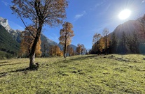 eddfedca-21a2-499d-b386-59c013bf8b80-1-201-a.jpg