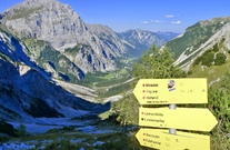 fullsizeoutput-13c4c-1.jpg