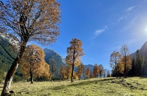 img-0184.jpg