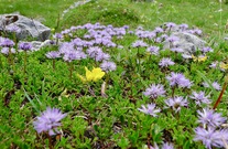 p1170316-1.jpg