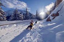 rodeln-in-pertisau-am-achensee-tobogganing-in-pertisau-am-achensee-15.jpg
