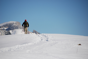 Schwünge im Schnee inmitten einer traumhaften Winterlandschaft