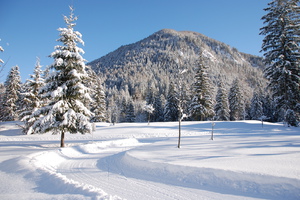 Winter in all seiner Pracht